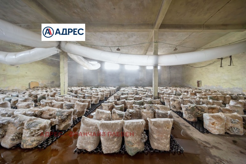 Продава БИЗНЕС ИМОТ, гр. Плевен, Индустриална зона - Запад, снимка 2 - Други - 53073334