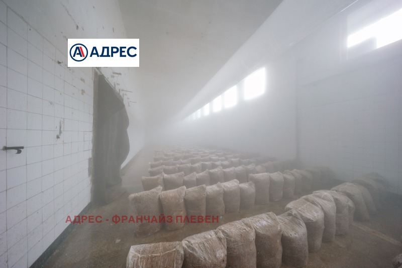 Продава БИЗНЕС ИМОТ, гр. Плевен, Индустриална зона - Запад, снимка 4 - Други - 53073334