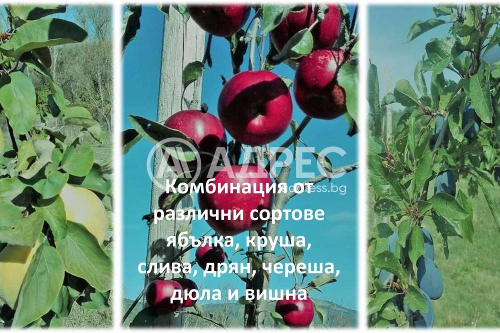 Продава ЗЕМЕДЕЛСКА ЗЕМЯ, с. Горно Камарци, област София област, снимка 7 - Земеделска земя - 55459682