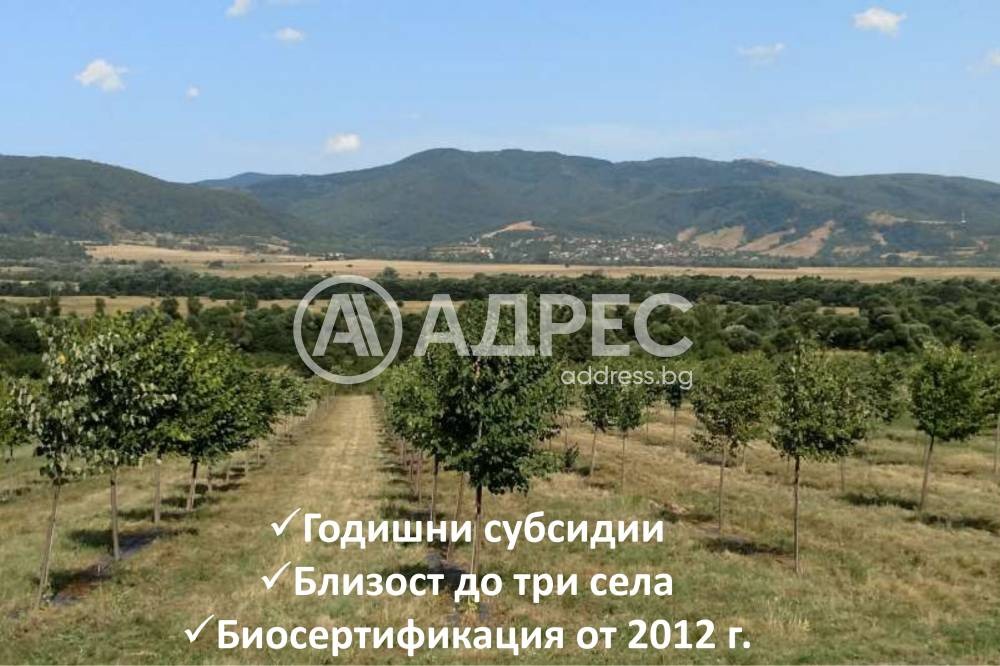 Продава ЗЕМЕДЕЛСКА ЗЕМЯ, с. Горно Камарци, област София област, снимка 3 - Земеделска земя - 55459682