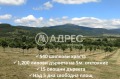 Продава ЗЕМЕДЕЛСКА ЗЕМЯ, с. Горно Камарци, област София област, снимка 4
