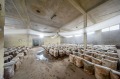Продава БИЗНЕС ИМОТ, гр. Плевен, Индустриална зона - Запад, снимка 1