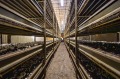 Продава БИЗНЕС ИМОТ, гр. Плевен, Индустриална зона - Запад, снимка 6