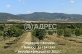 Продава  Земеделска земя област София , с. Горно Камарци , 43 дка | 72093617 - изображение [3]