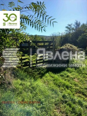 Продава парцел област Варна с. Петров дол - [1] 