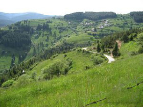 ������� ������ | Imot.bg � ����� ������ 2