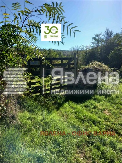 Продава  Парцел, област Варна, с. Петров дол • 39 500 € • ID 13479579 — holmes.bg - [1] 