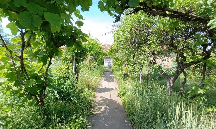 ������� ���� | Imot.bg � ����������� 8