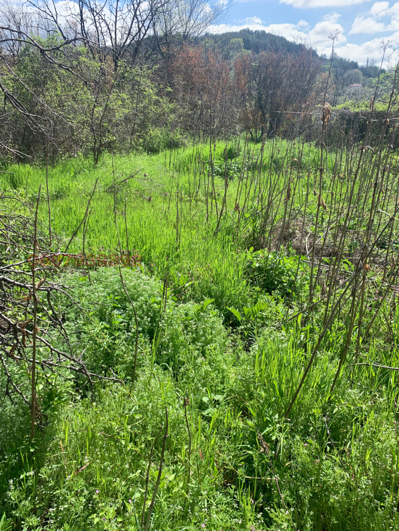 Продава КЪЩА, с. Илинденци, област Благоевград, снимка 15 - Къщи - 52784536