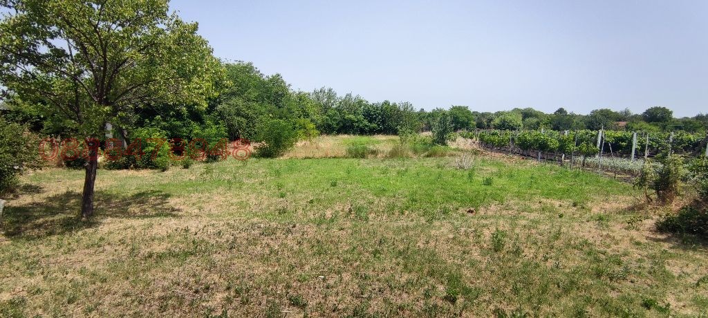 Продава КЪЩА, с. Ценово, област Стара Загора, снимка 3 - Къщи - 54546037