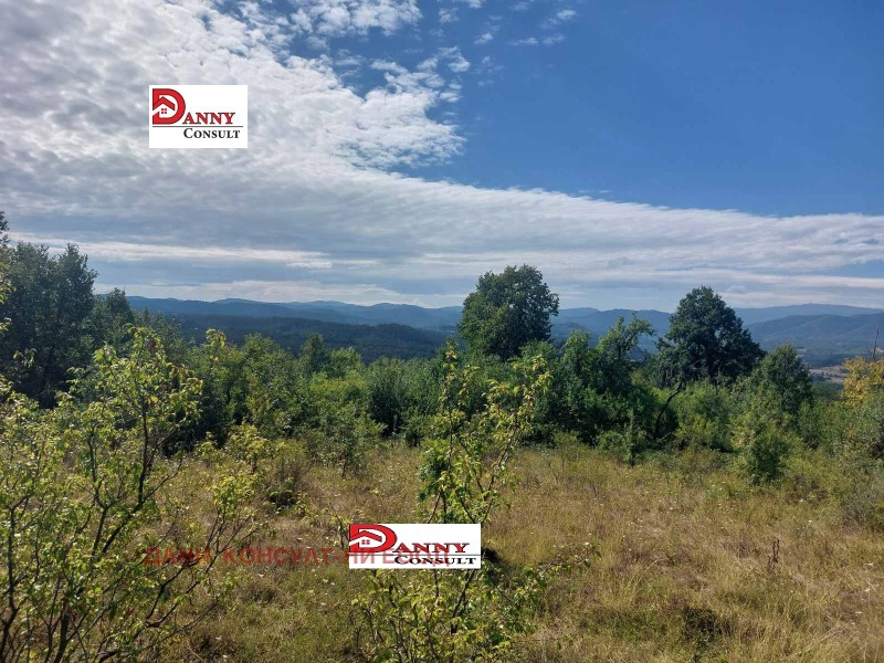 For Sale  Plot region Veliko Tarnovo , Poprusevtsi , 1100 sq.m | 25809778 - image [7]