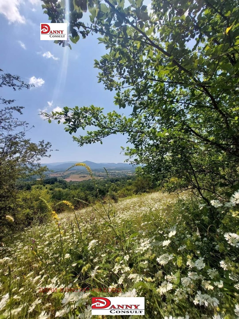 Zu verkaufen  Handlung region Weliko Tarnowo , Poprusewzi , 1100 qm | 25809778 - Bild [4]