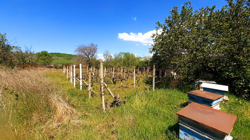 For Sale  Plot region Kyustendil , Dupnitsa , 952 sq.m | 59301506 - image [14]