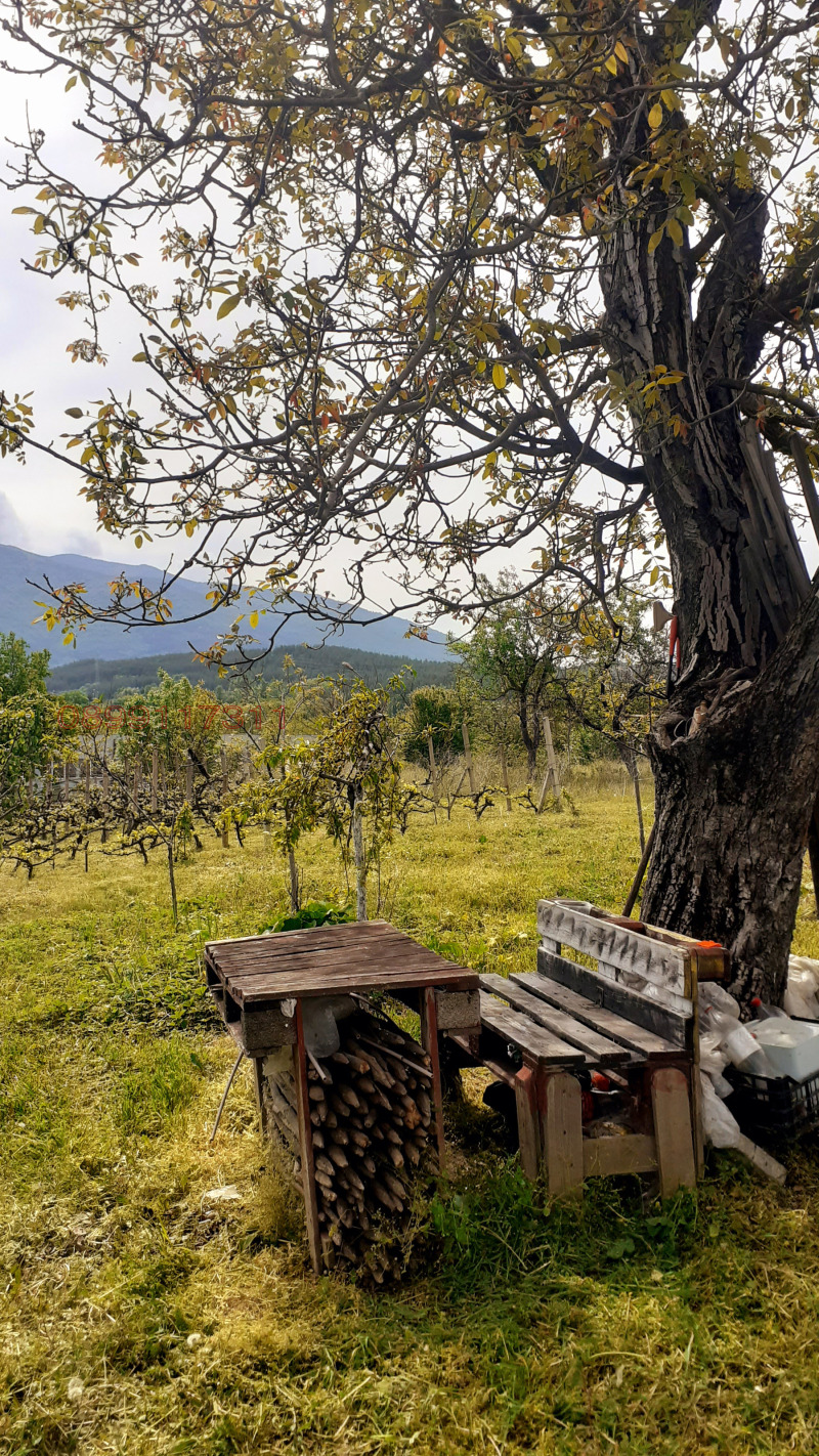 For Sale  Plot region Kyustendil , Dupnitsa , 952 sq.m | 59301506