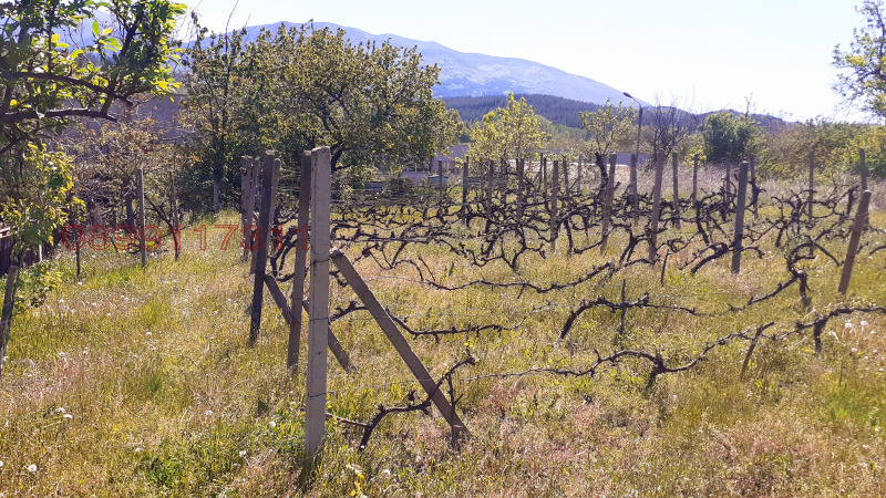 For Sale  Plot region Kyustendil , Dupnitsa , 952 sq.m | 59301506 - image [6]