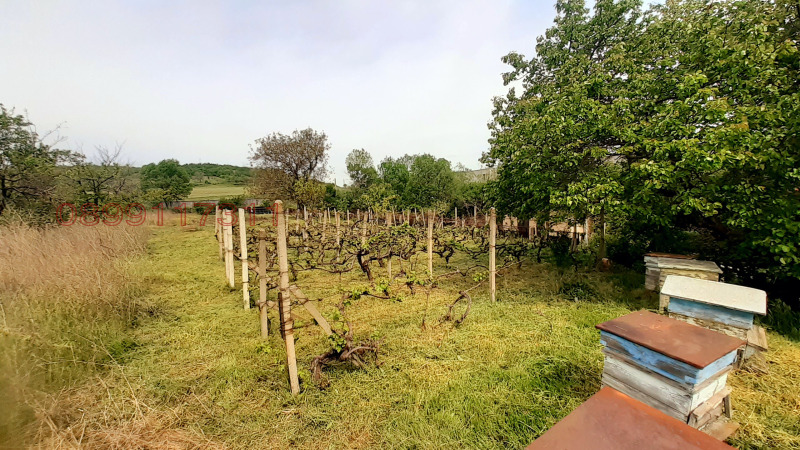 For Sale  Plot region Kyustendil , Dupnitsa , 952 sq.m | 59301506 - image [13]