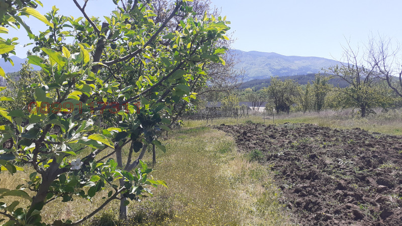 For Sale  Plot region Kyustendil , Dupnitsa , 952 sq.m | 59301506 - image [3]