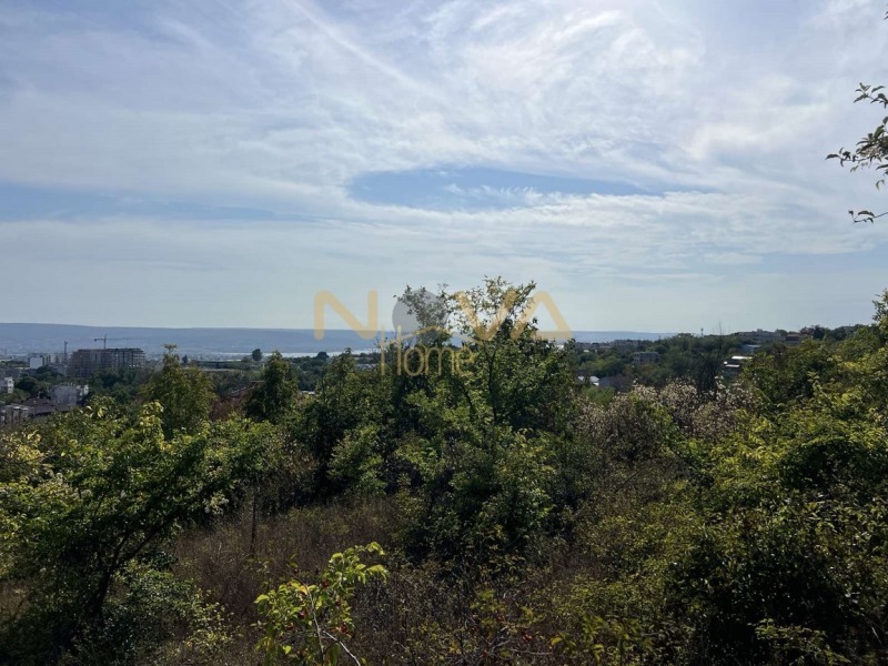 En venta  Trama Varna , Izgrev , 4071 metros cuadrados | 38088690 - imagen [3]