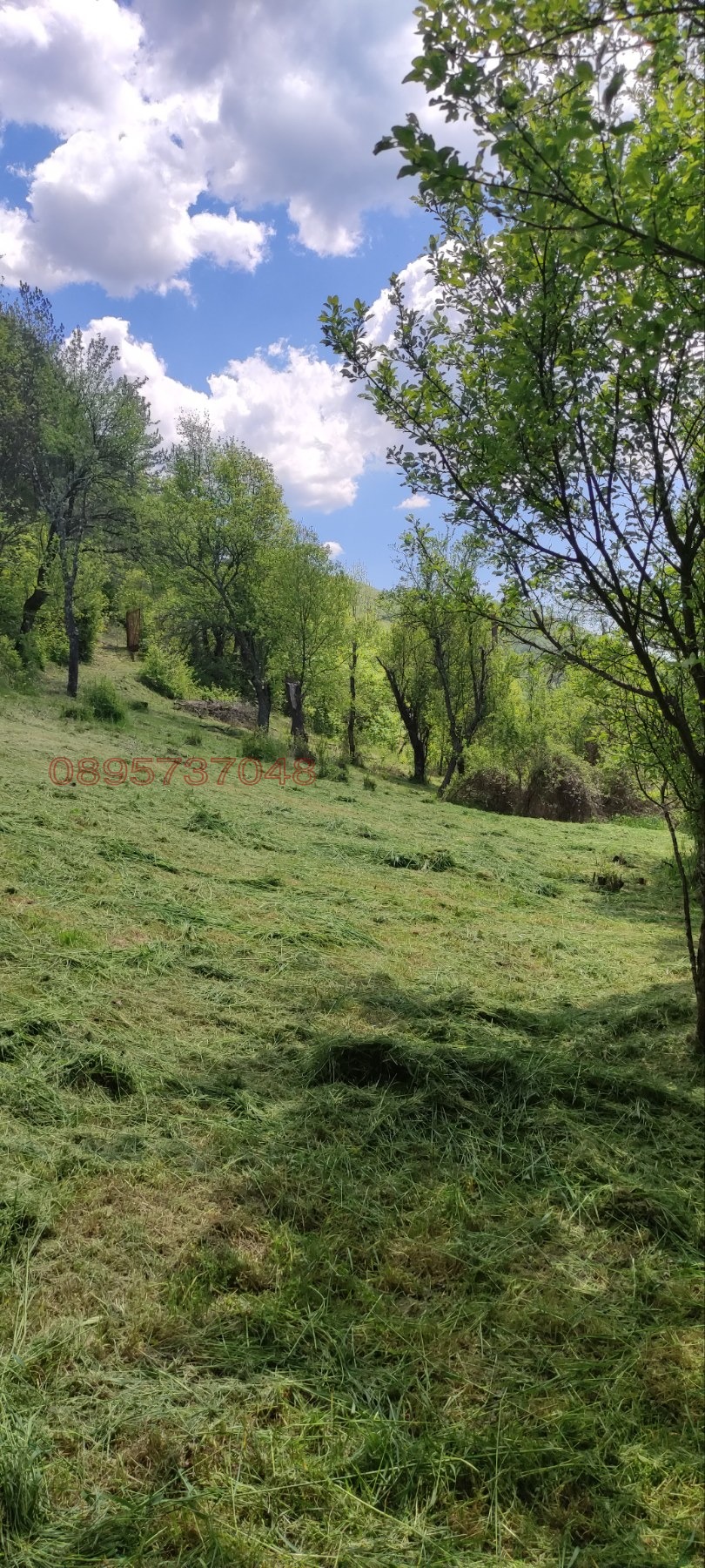 ������� ������ | Imot.bg � ����������� 2