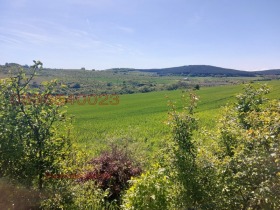 ������ ������� ������