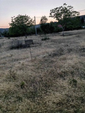 ������ ������� ������