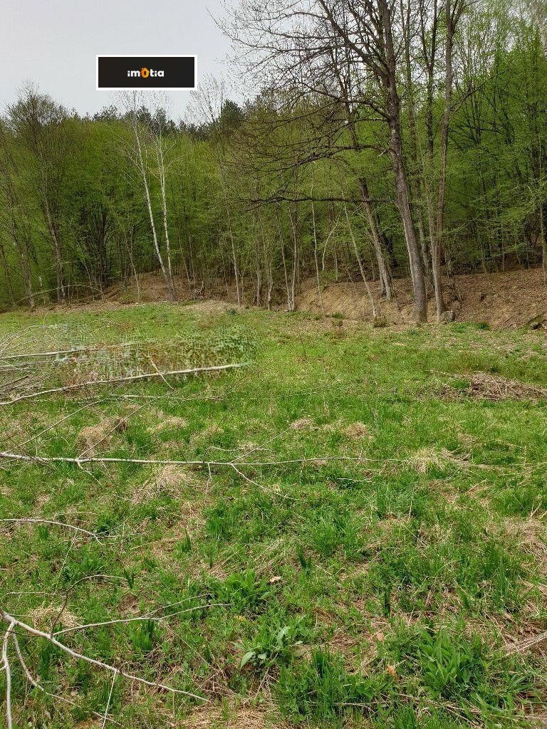 Продава ПАРЦЕЛ, гр. Априлци, област Ловеч, снимка 5 - Парцели - 53119464