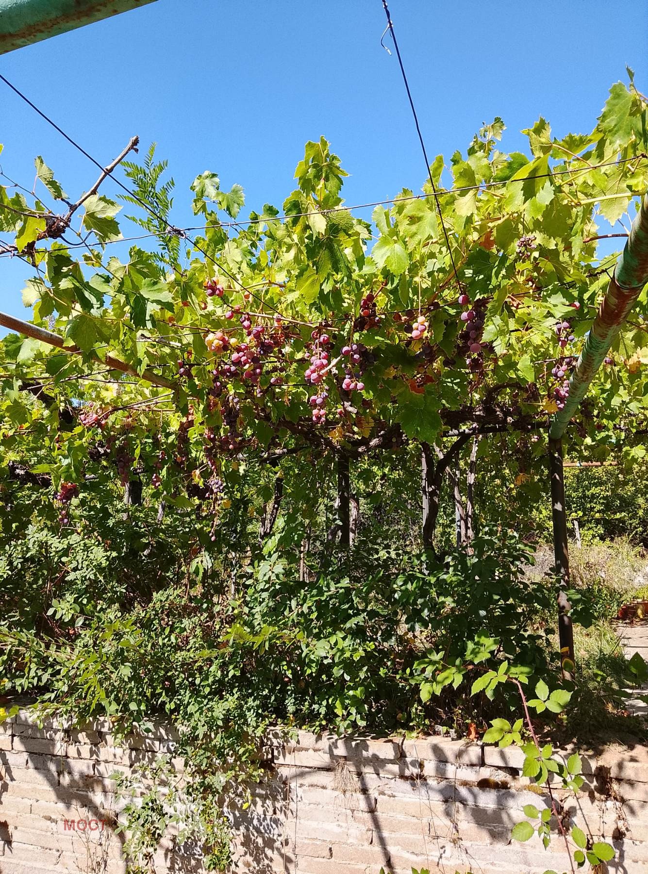 Продава ВИЛА, с. Бяга, област Пазарджик, снимка 5 - Вили - 55503970