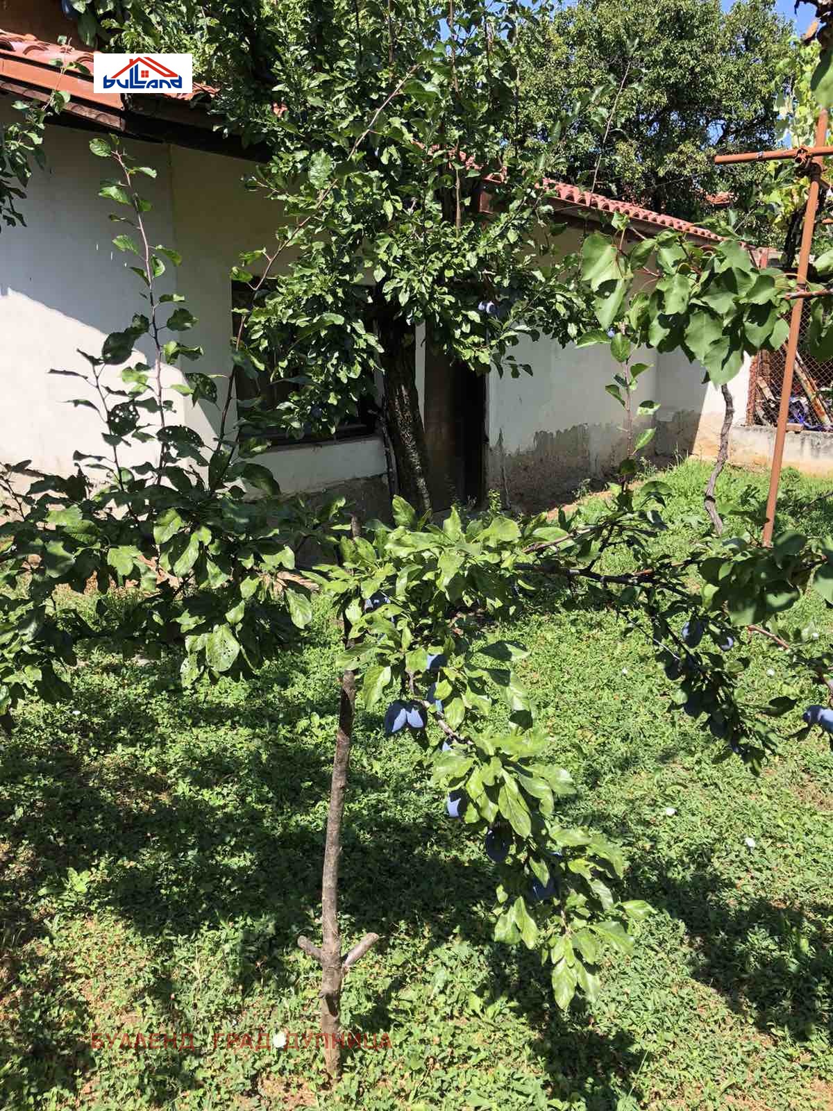 ������� ���� | Imot.bg � ����������� 15