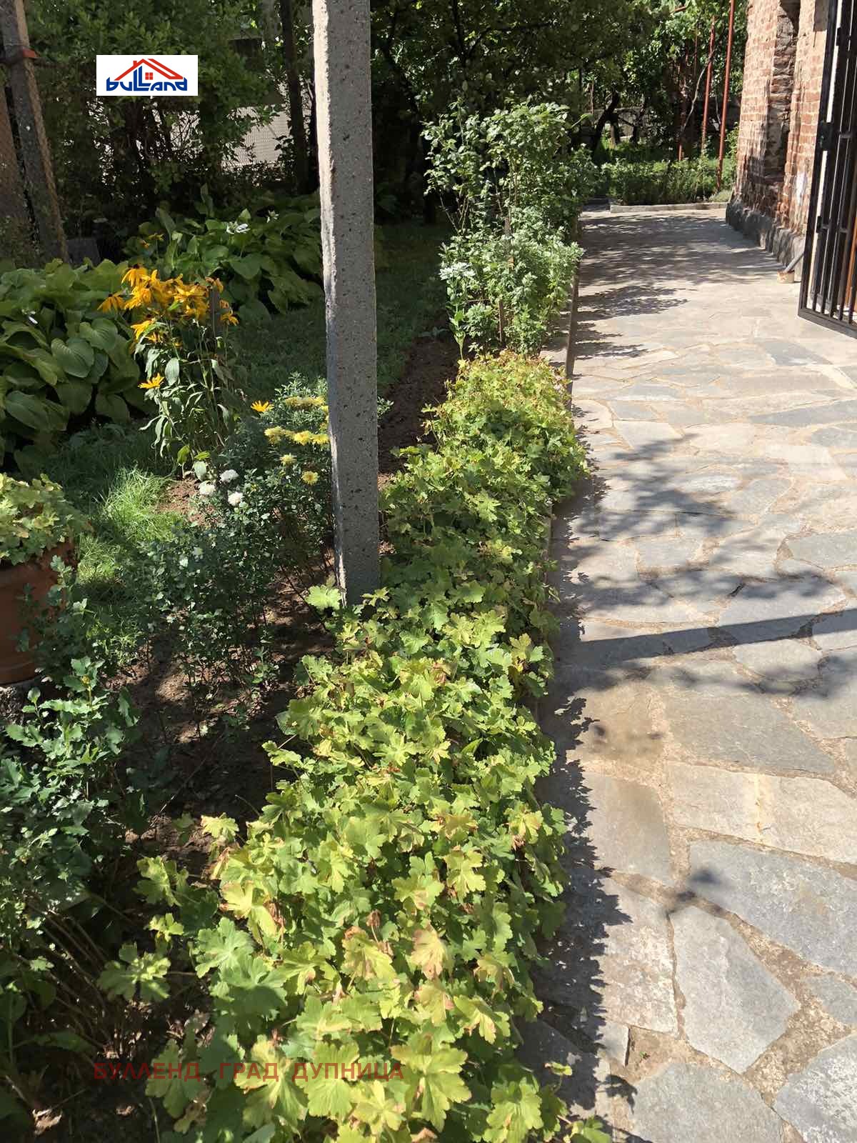 ������� ���� | Imot.bg � ����������� 17