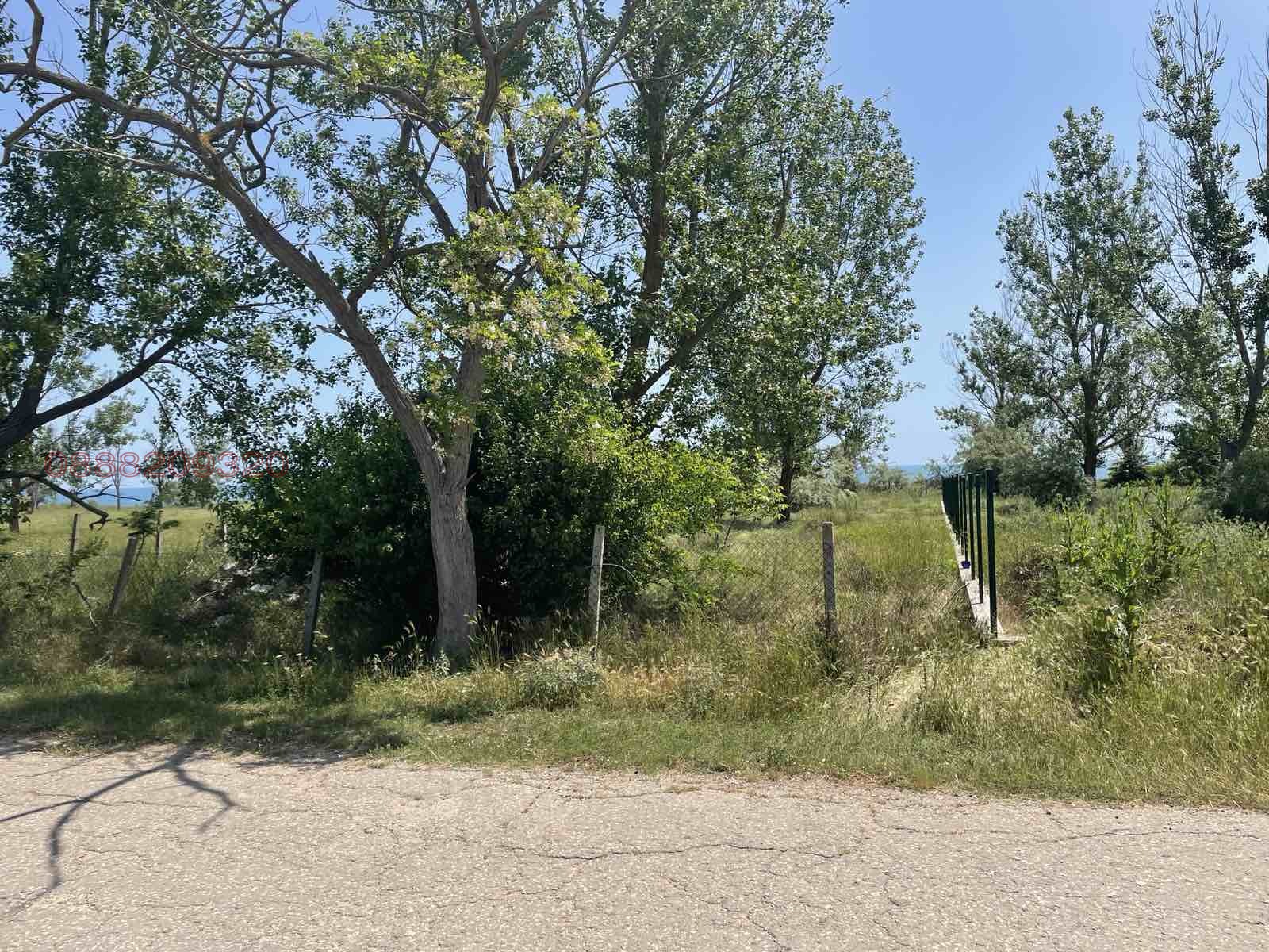 ������� ������ | Imot.bg � ����������� 5