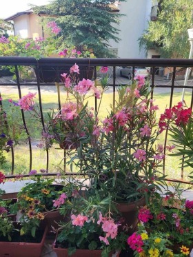 ������� ���� | Imot.bg � ����� ������ 12