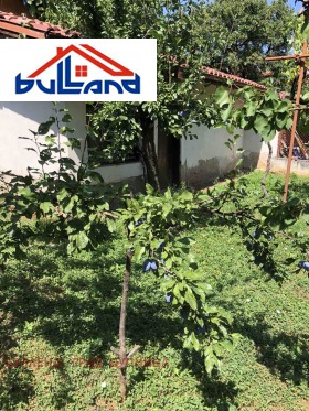 ������� ���� | Imot.bg � ����� ������ 15