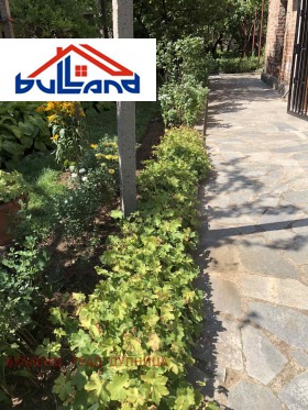 ������� ���� | Imot.bg � ����� ������ 17