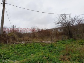 ����� ������� ������,�. ������, ������ ������