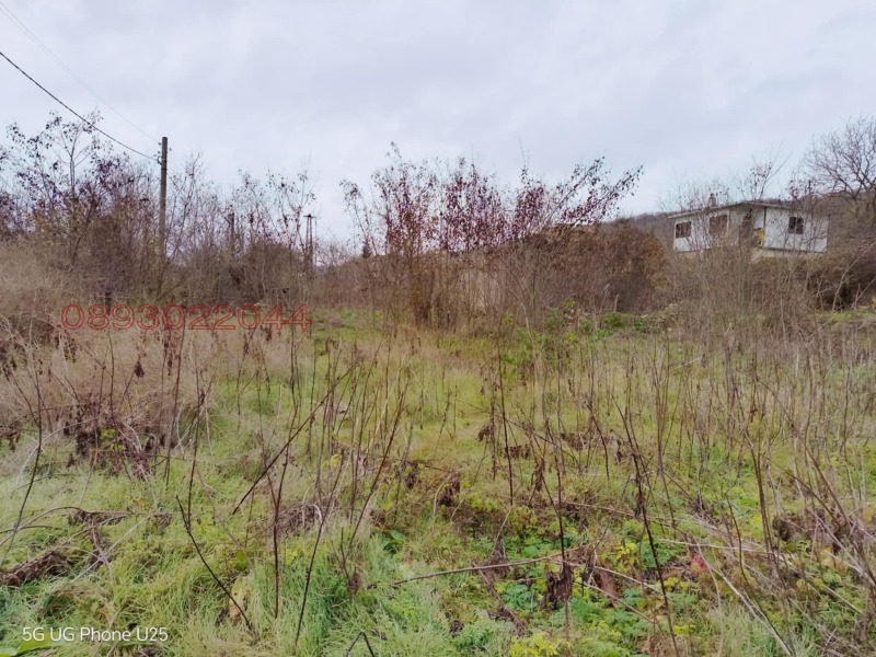 Продава ПАРЦЕЛ, с. Прилеп, област Добрич, снимка 2 - Парцели - 53257409