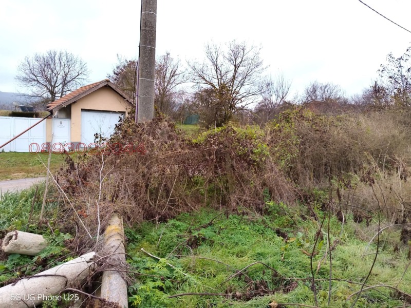 Продава ПАРЦЕЛ, с. Прилеп, област Добрич, снимка 4 - Парцели - 53257409