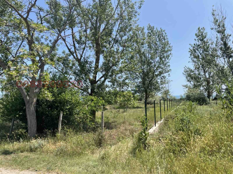 Продава ПАРЦЕЛ, с. Крапец, област Добрич, снимка 5 - Парцели - 53372476