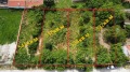 Продава ПАРЦЕЛ, гр. Девня, област Варна, снимка 2