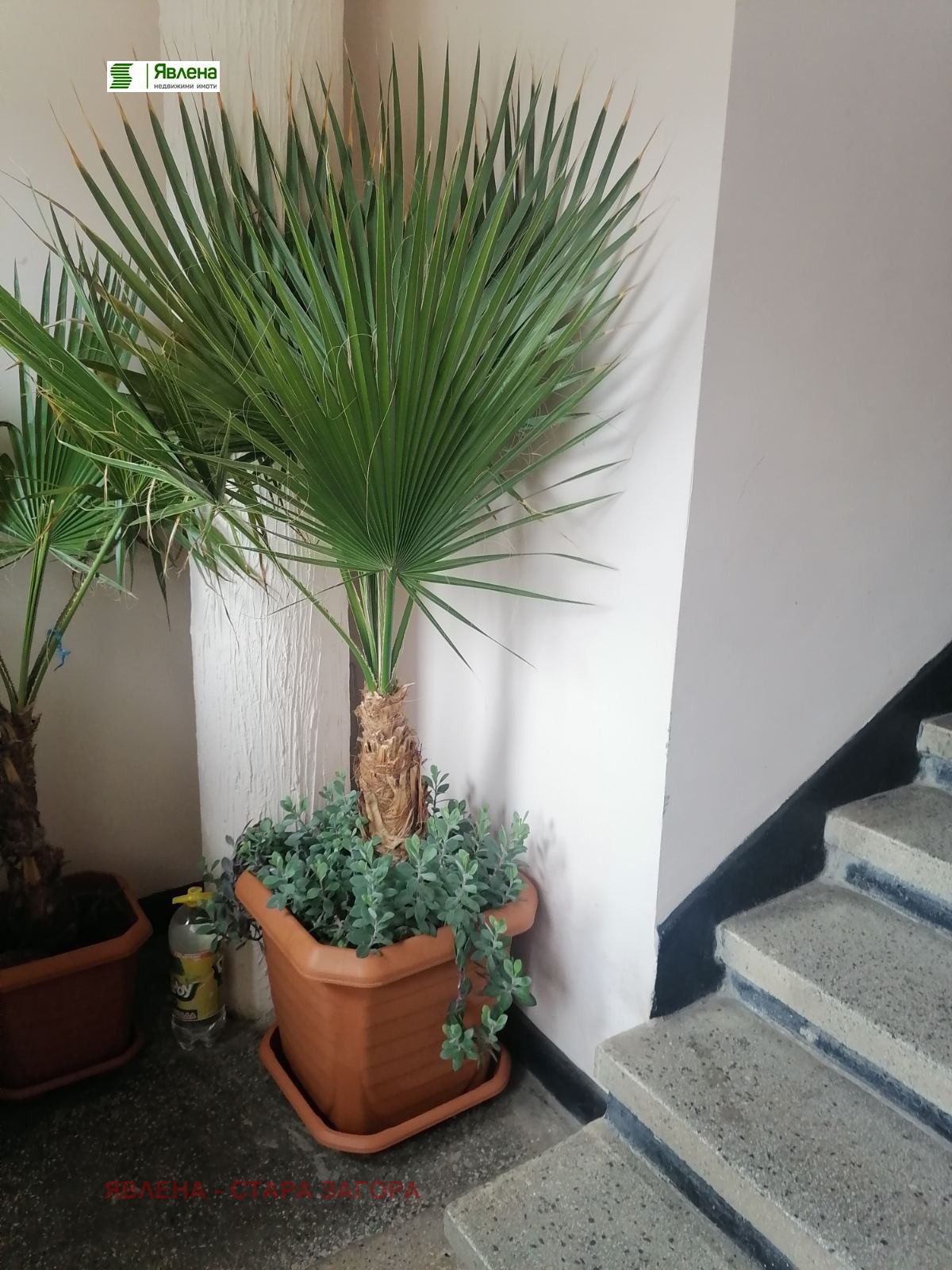 ������� 2-����� | Imot.bg � ����������� 6