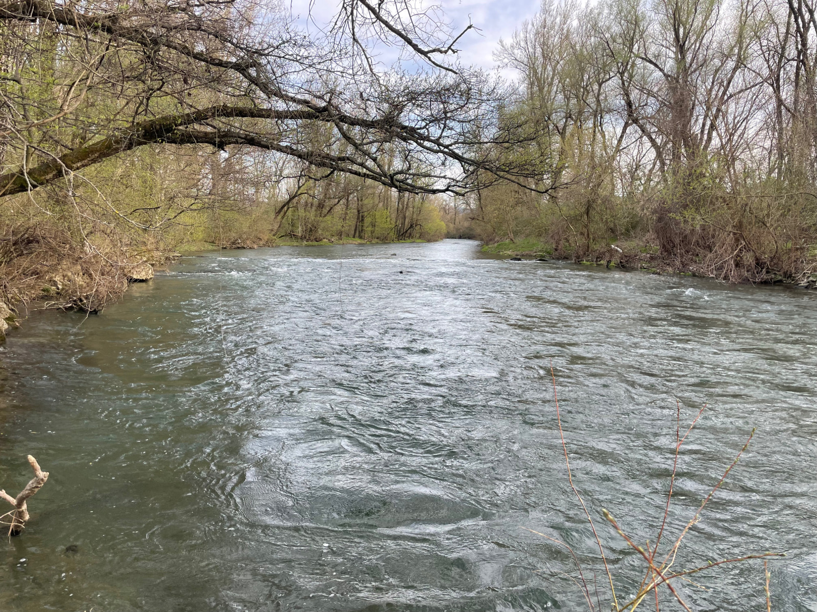 ������� ������ | Imot.bg � ����������� 4