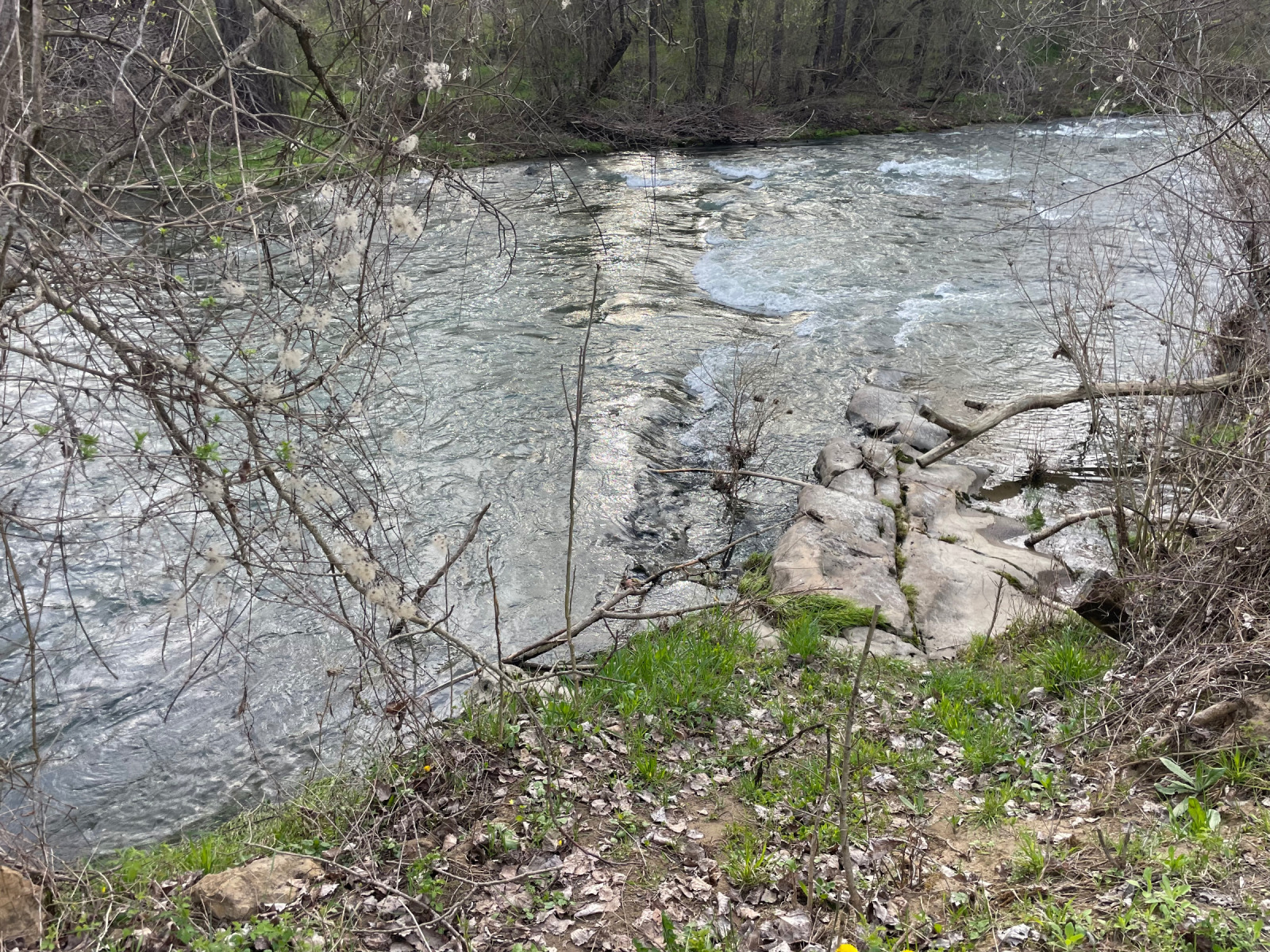 ������� ������ | Imot.bg � ����������� 5