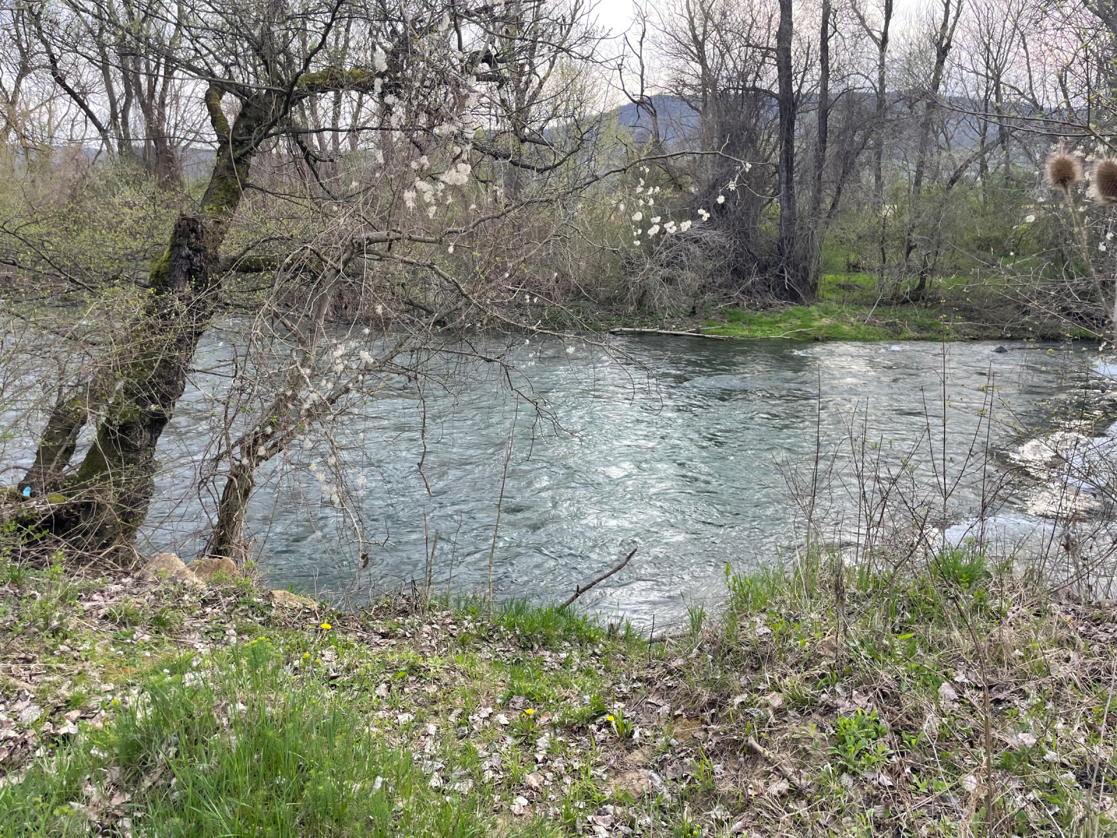 ������� ������ | Imot.bg � ����������� 1