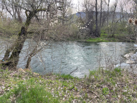 ������ ������� ������