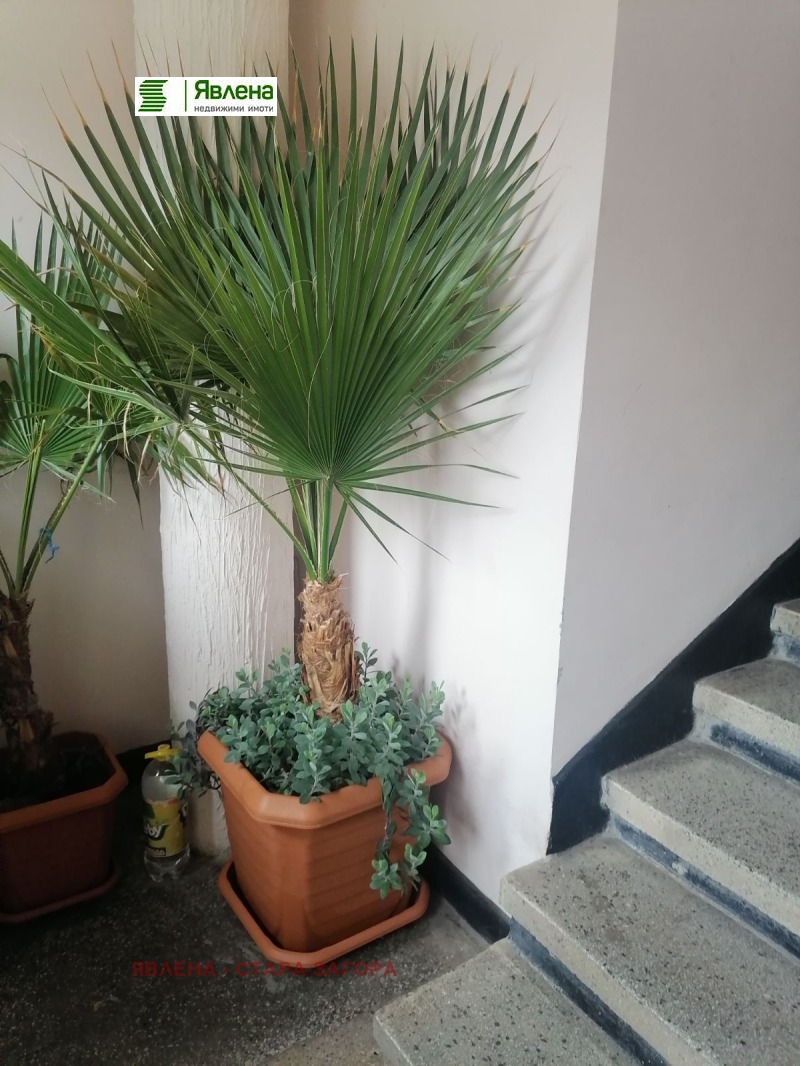 Продава 2-СТАЕН, гр. Стара Загора, Ремиза, снимка 5 - Апартаменти - 53245974