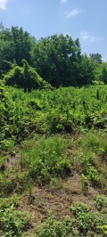 Продава ПАРЦЕЛ, с. Върбица, област Плевен, снимка 2