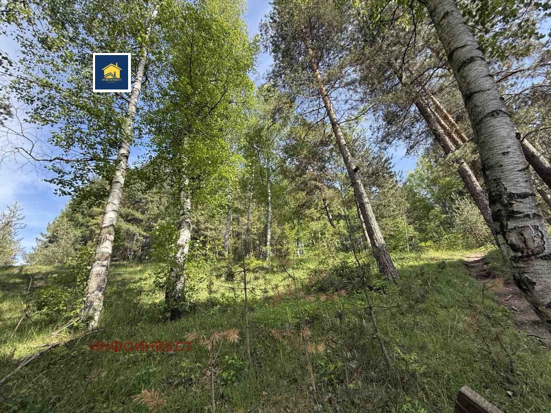 Продава 3-СТАЕН, гр. Велинград, област Пазарджик, снимка 4 - Апартаменти - 53084748