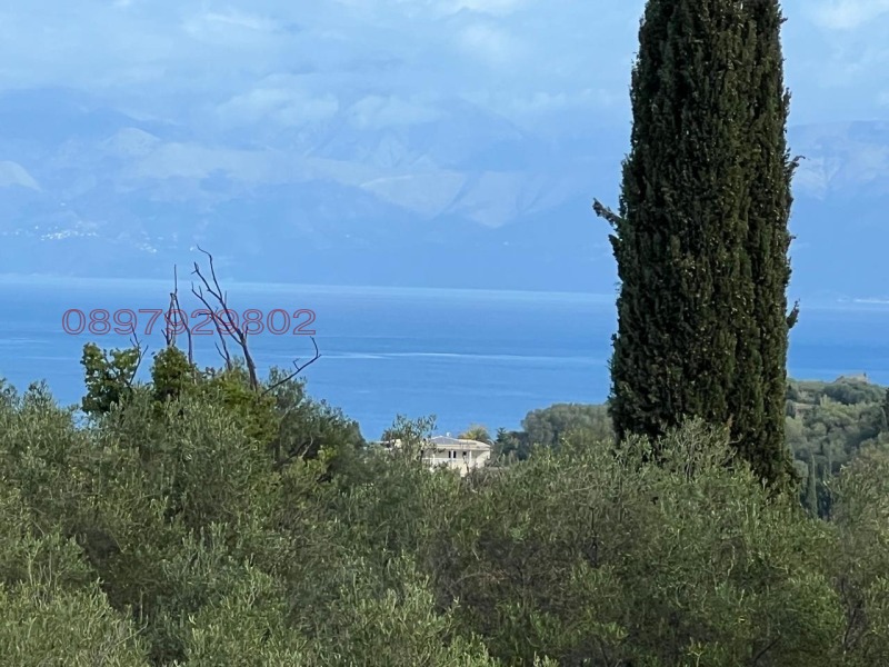 Продава ВИЛА, Извън страната, област Извън страната, снимка 3 - Вили - 52780687