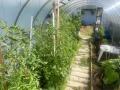 Продава КЪЩА, с. Варвара, област Бургас, снимка 4