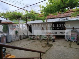 ������ ������� ����