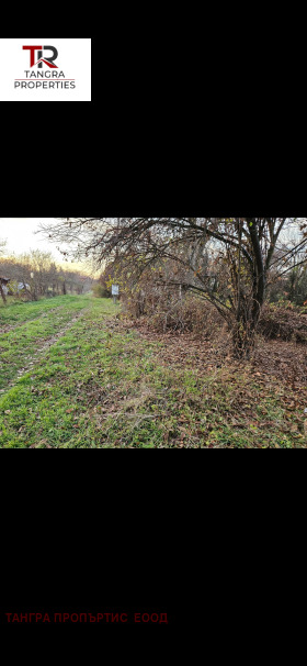 Handlung Kondofrej, region Pernik 2